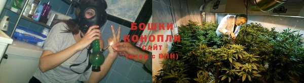дмт Белокуриха
