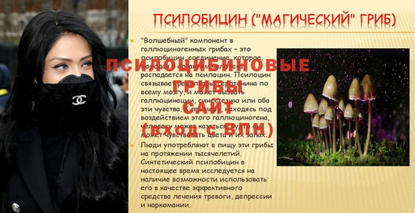 ПСИЛОЦИБИНОВЫЕ ГРИБЫ Баксан